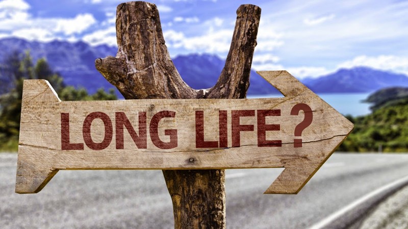 Bioglutide NA-931 Capsules Extend lifespan | Shaanxi BLOOM Tech Co., Ltd Bioglutide NA-931 Capsules Extend lifespan | Shaanxi BLOOM Tech Co., Ltd